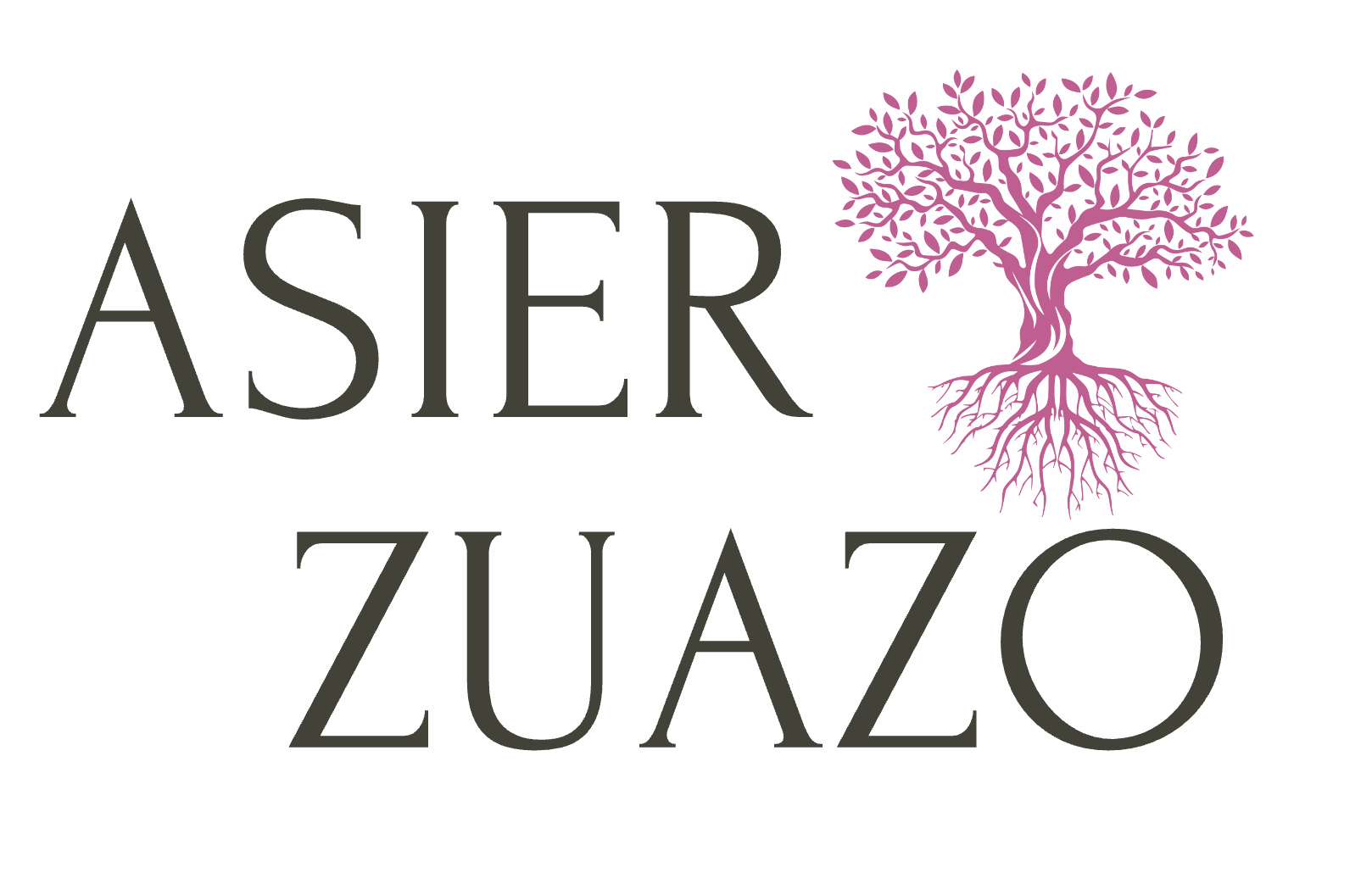 Asier Zuazo